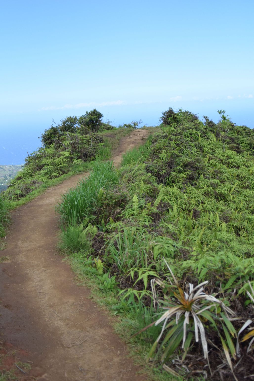 Op reis naar Hawaii welke eilanden kies je? ] Joker